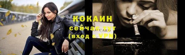 стафф Верхний Тагил